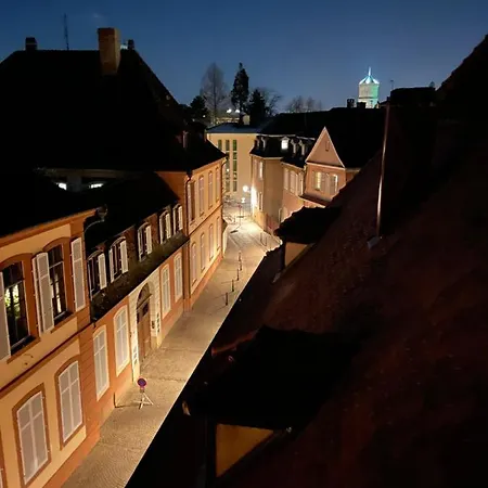 Le Petit Linck - Typique Au Coeur De コルマール